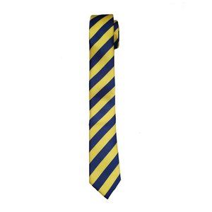 Gascoigne Repp Stripe Tie Blue Yellow Silk Men's Short Narrow